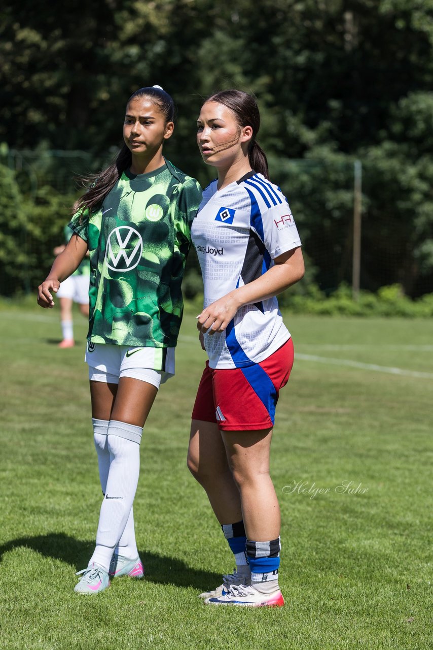 Bild 95 - wBJ Hamburger SV - VfL Wolfsburg : Ergebnis: 5:1